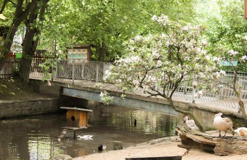Bischofswerda Ferienwohnung Familienfreundlich Seniorengerecht - Foto 52