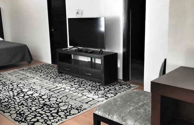 10- Large Suite for 4 People - Photo 15