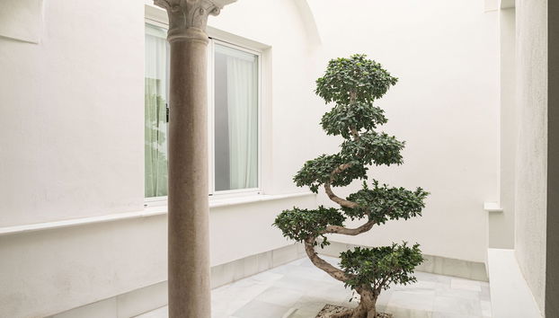 Entrada (vista interior)