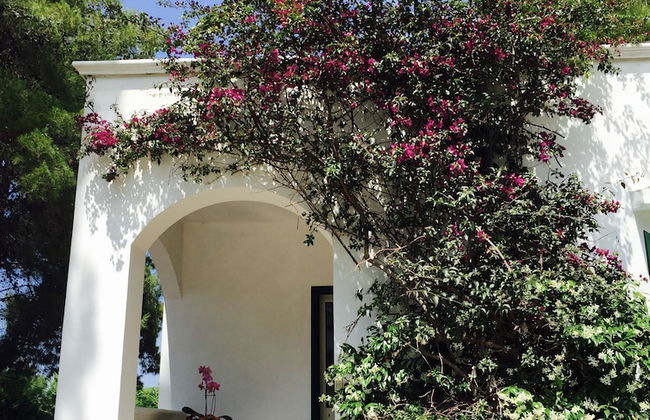 Residence Hotel Baia di Paradiso - Foto 18