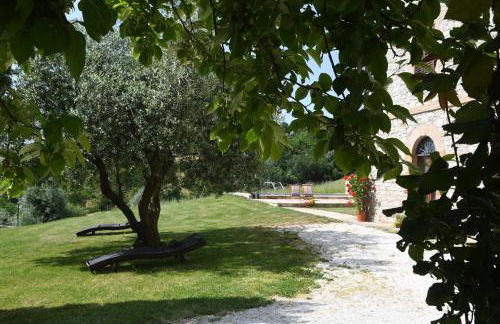 agriturismo montefiorentino - Foto 16