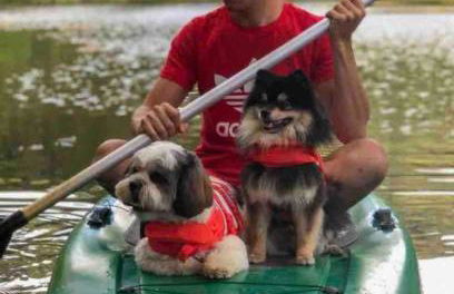 Flat Natureza Hotel Fazenda Pedra do Rodeadouro Bonito PE - Photo 67