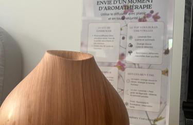 Pavillon d'Éole - Foto 54