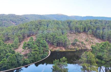 GREDOS RURALRUT cerca del CASTAÑAR de El Tiemblo, Reserva Natural VALLE DE IRUELAS, alojamiento acogedor con cabina hidromasaje, chimenea eléctrica, calefacción, wifi, cocina - Photo 69