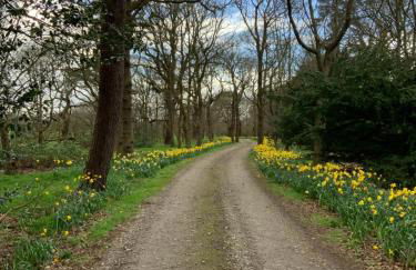 The Mulberry Apartment at Langford Hall - Photo 11