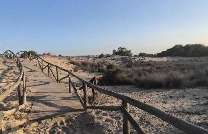 Playa del Pinet 2 - Photo 33