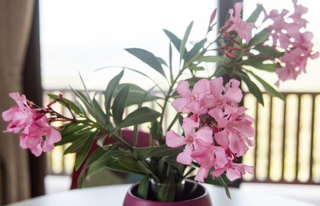 Sunset Holiday Home - Photo 2