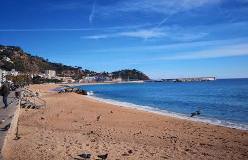 Fantástico Apartamento en el centro de Blanes y a 150mts de la Playa - Photo 23