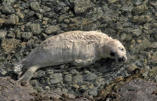 The Workshop- Eco Cottage by the Coastal Path - Photo 50