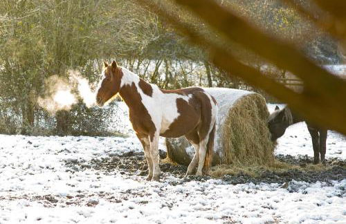 The Organic Cotswolds Shepherds Hut - Photo 69