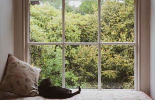 Catchfrench Manor - Foto 19