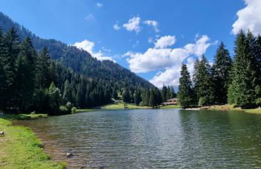 Tonale Ski-in AlpView Studio - Foto 27