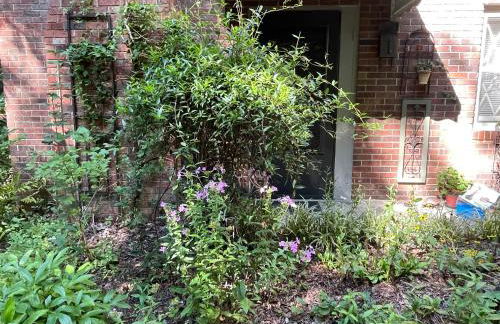 Mary's Place - Studio surrounded by nature but close to High Point - Photo 22