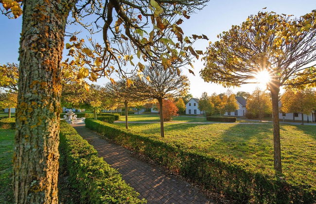 Ferienhaus in Mecklenburg-vorpommern mit Tropenpool & Spa - Photo 22