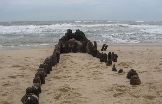 Dorotheenhof - Foto 22