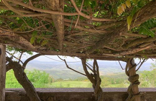 Podere Piccini with pool in Val d'Orcia-Tuscany - Foto 45