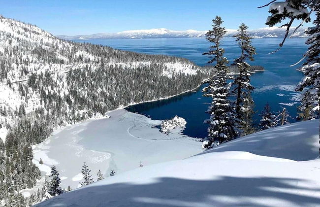 DT Reno - Modern Home Private Patio Workspace - Photo 28