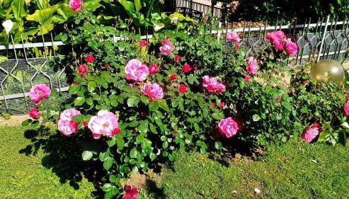 Villa a Tirli - Respiro Toscano - Foto 4