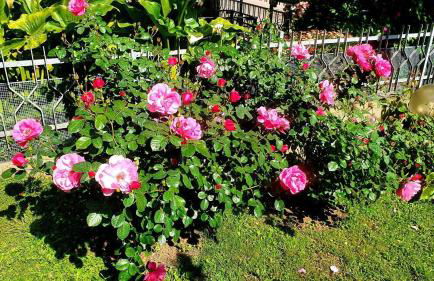 Villa a Tirli - Respiro Toscano - Foto 4