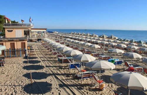 Ficus 2 Pineto Vacanza - Foto 9