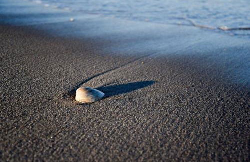 Beachy Lavallette Cottage with Outdoor Shower, Patio - Foto 30