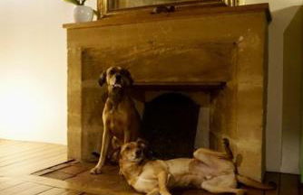 Suite Mana OHANA - Luxe et Authenticité à 2 pas de la Place Ducale avec Parking privé - Foto 39