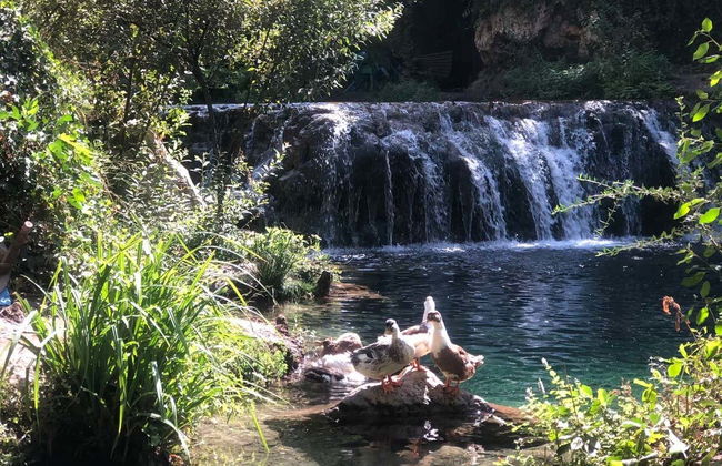 Excursion à Chefchaouen et aux cascades du parc national d’Akchour - Photo 3