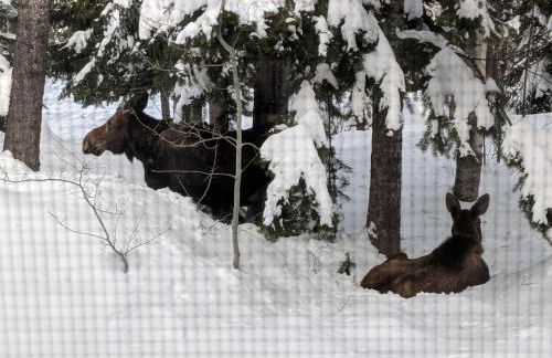 Abode at the Homestead - Foto 67