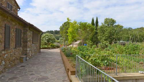 Poggio Ferrone - Foto 3, Garden