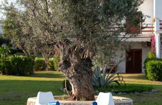 Veya Suite - Private Beach & Pools - Photo 51