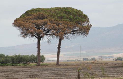 Agriturismo Silos Agri - Foto 25