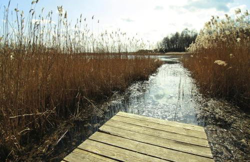 Ferienwohnung, Lohmen - Foto 22