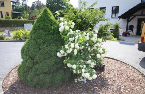 Röblinseeterrassen - Foto 61