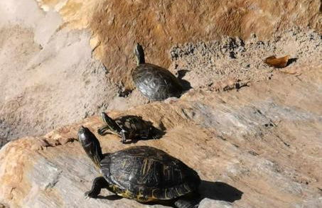 Apartamento Puesta De Sol - Foto 31