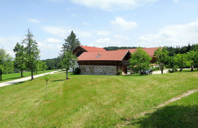 Lehner im Wald - Foto 21