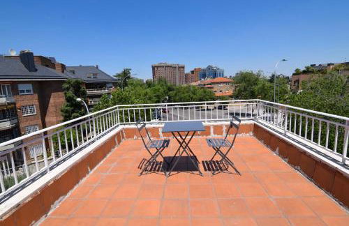 Letplanet Pio XII - Foto 33