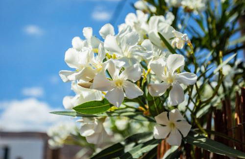 Eco Casa Salitre,Montaña, Campo y Playa - Foto 68