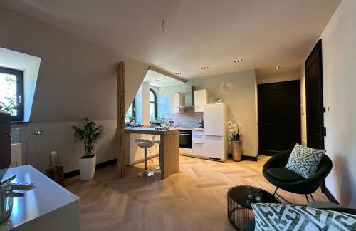 außergewöhnliche Ferienwohnung Stadtvilla Plauen - Foto 27