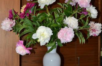 Alagundis Apartment Residence - Foto 72