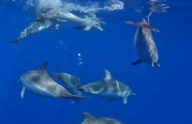 Sea Roots "Sea Zone" - Foto 45