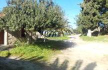 Trouli House - Foto 64