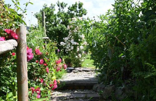 Bro Deg - Moylegrove - Foto 27