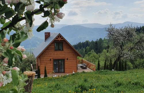 Domek Góralski Piwowarówka - Foto 59