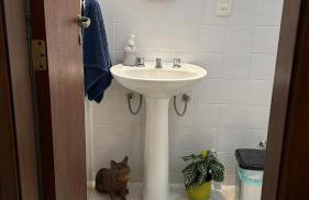 Casa Green Valley - O PARAÍSO É AQUI! - Foto 80