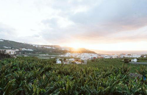 Tortuga blue house in banana plantation - Foto 1