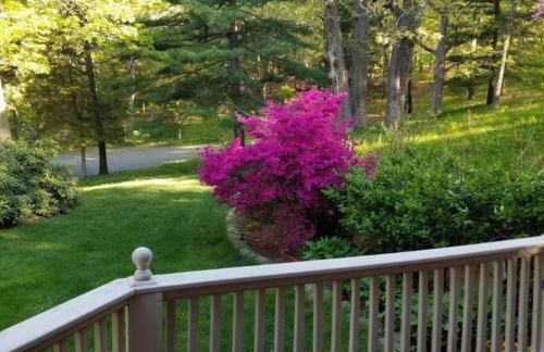 Harvard House-The Gathering Place - Foto 27