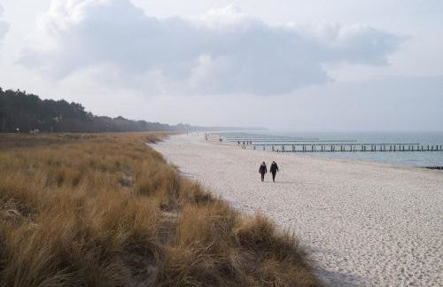 H24ZINGST - Das Ferienhaus - Foto 71