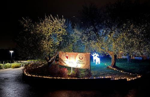 Agricamping Al grappolo diVino - Foto 11