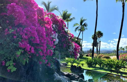 Coconut at Shores - Waikoloa Beach Resort - Foto 37