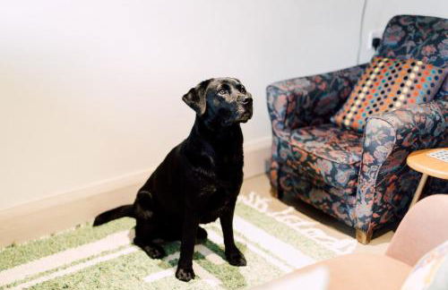 The Stable at Ty Beic - Foto 20